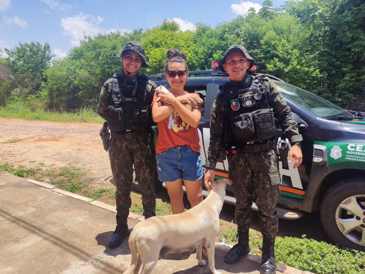 PMCE faz o resgate de cadela e filhotes abandonados em Milagres