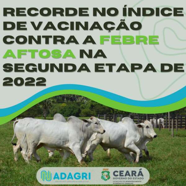 Recorde no índice de Vacinação contra a Febre Aftosa na segunda etapa de 2022