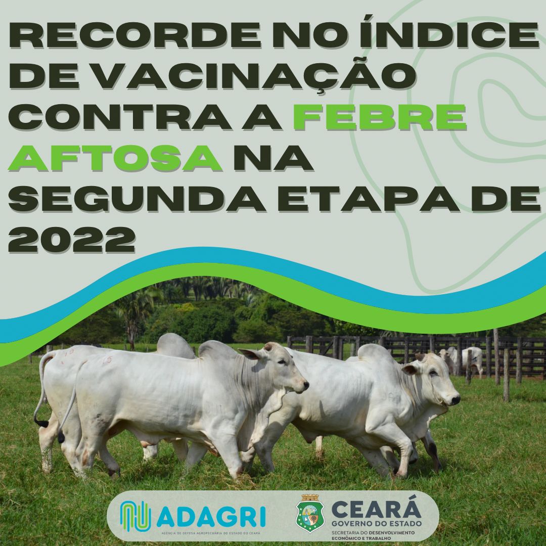 Recorde no índice de Vacinação contra a Febre Aftosa na segunda etapa de 2022