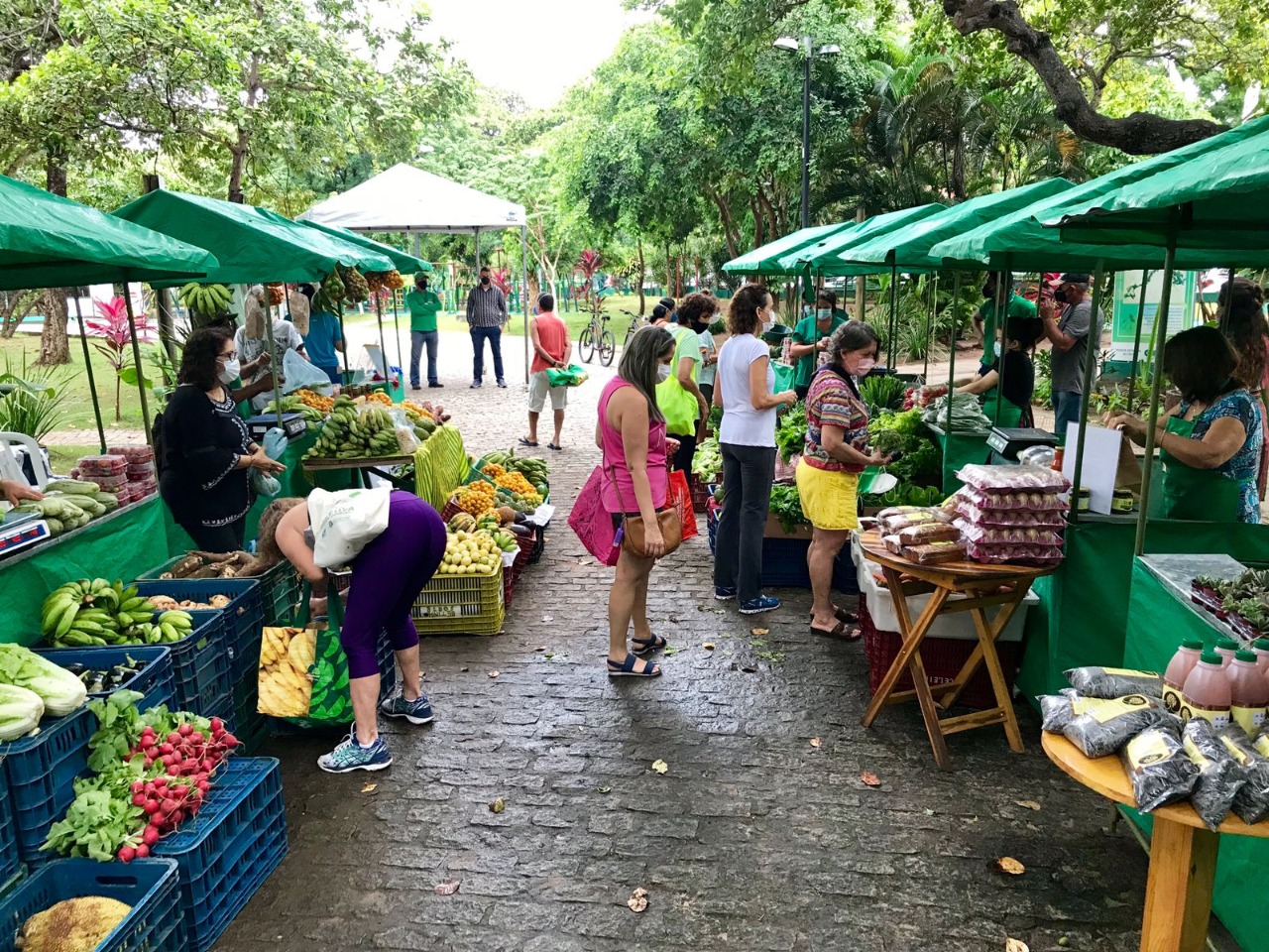 Feira Agroecológica no Parque do Cocó terá empadas orgânicas