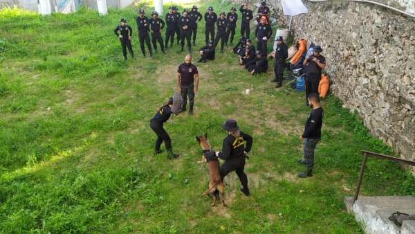 SAP capacita policiais penais em Curso de Capacitação em Noções de Conduta de Cães em Ambiente Prisional