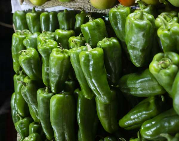 Preço do pimentão de primeira cai 41% na Ceasa em Maracanaú