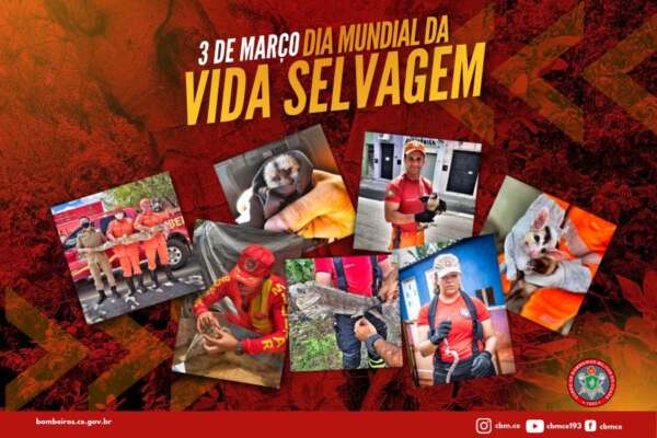 Corpo de Bombeiros celebra Dia Mundial da Vida Selvagem e 50º Aniversário da Cites