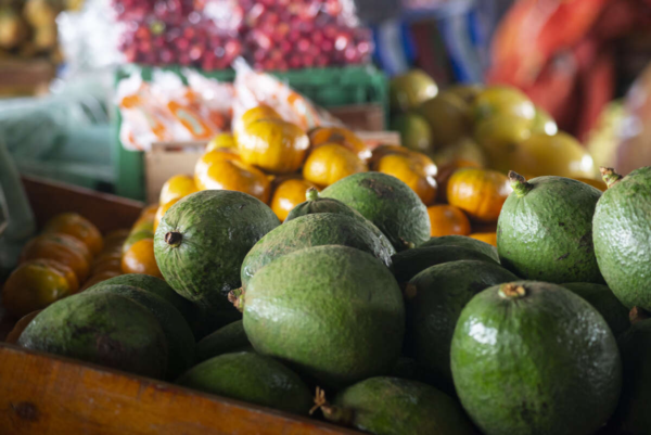 Preço do abacate cai 43,8% na Ceasa Cariri