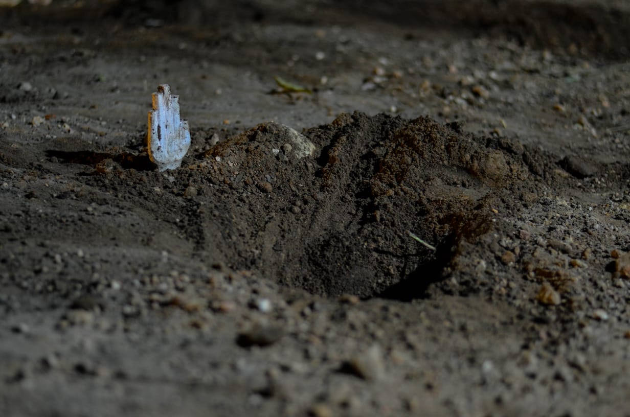 Vila da Música recebe programação da Temporada de Artes Cearense (TAC) em Abril