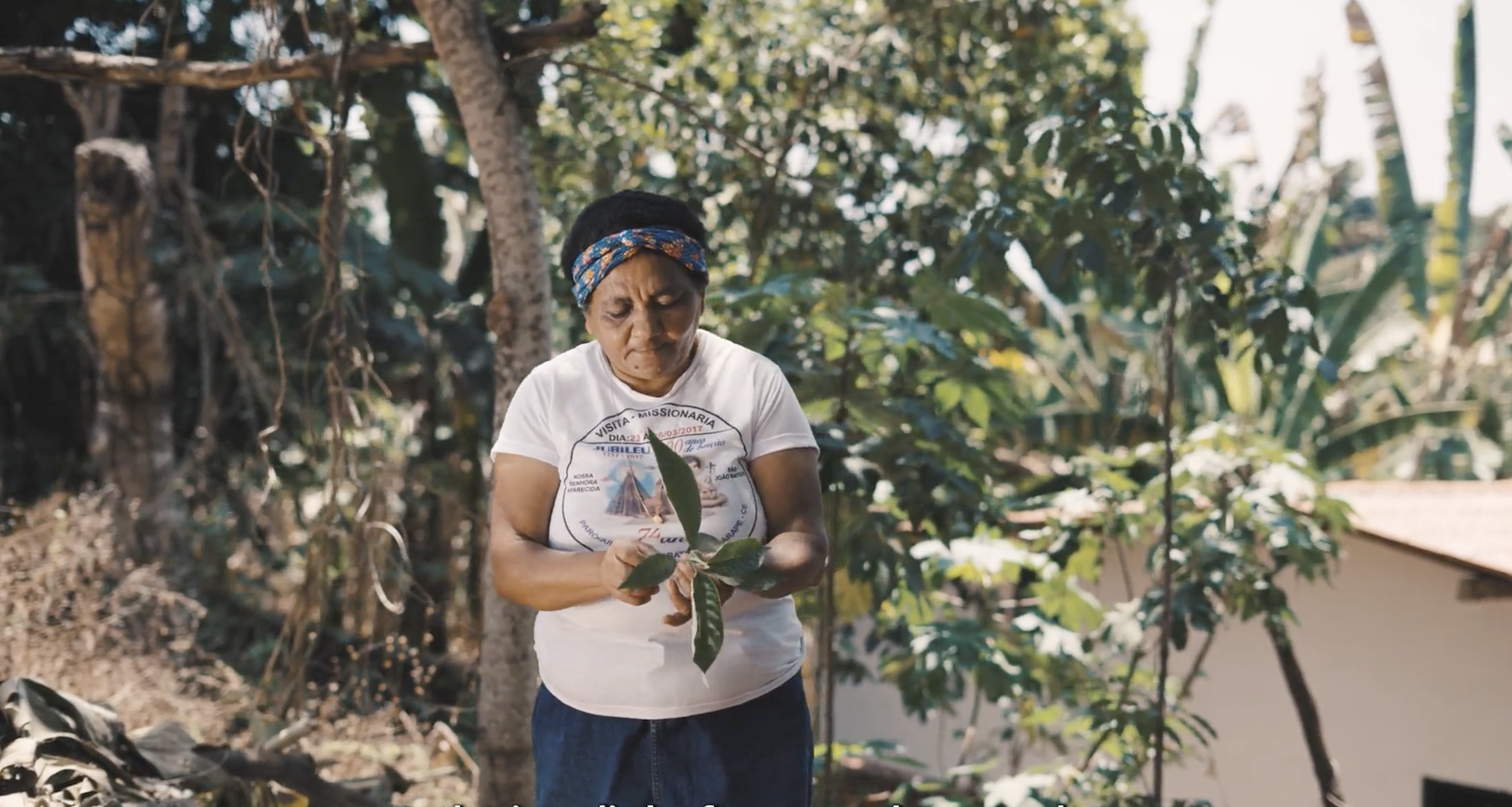 Mercado AlimentaCE lança websérie no Youtube sobre cultura alimentar cearense