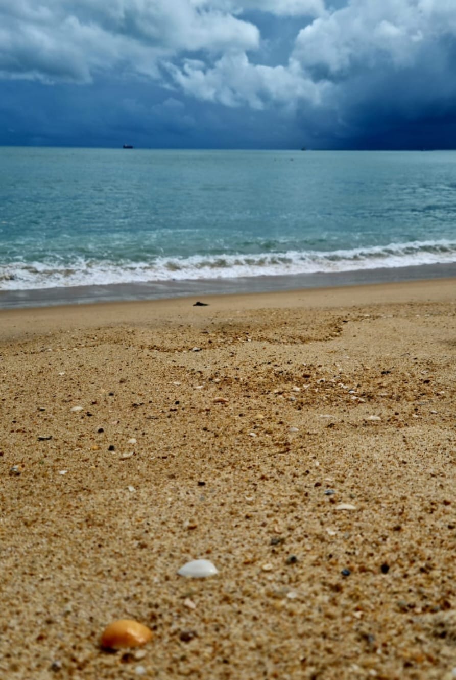 Boletim de balneabilidade da Semace indica seis pontos próprios