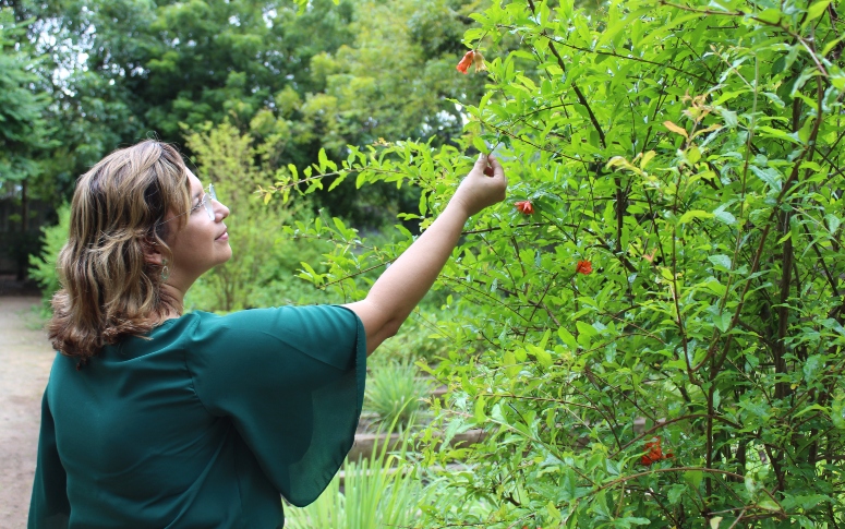Dia da Planta Medicinal: Horto da Saúde do Ceará oferece apoio à implantação de Farmácias Vivas nos municípios