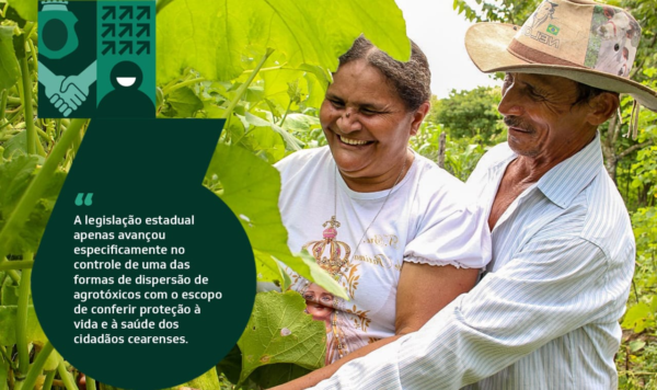 PGE-CE assegura no STF constitucionalidade da lei que proíbe pulverização aérea de agrotóxico no Ceará