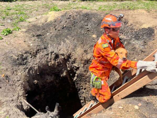 CBMCE resgata filhote de cachorro de cacimba em construção em Aquiraz