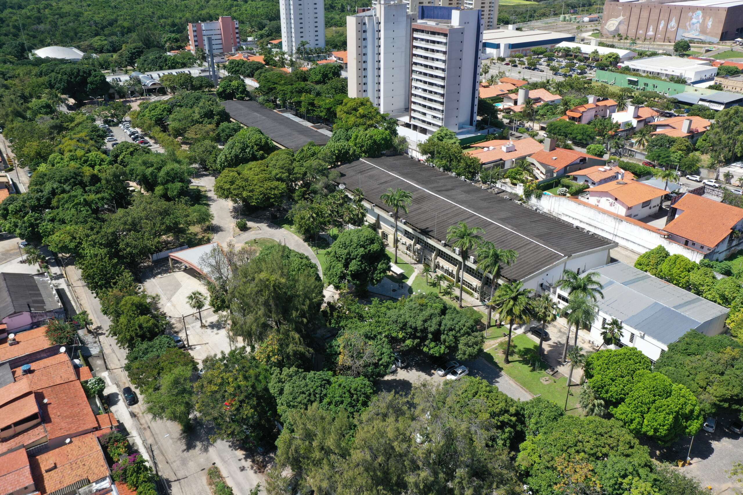 Núcleo Estratégico para Demandas Especiais da PGE inicia atividades