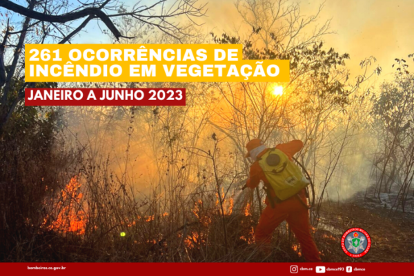 Corpo de Bombeiros apaga 261 incêndios em vegetação em 2023