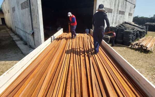 Semace doa madeiras apreendidas para reforma de penitenciárias do estado