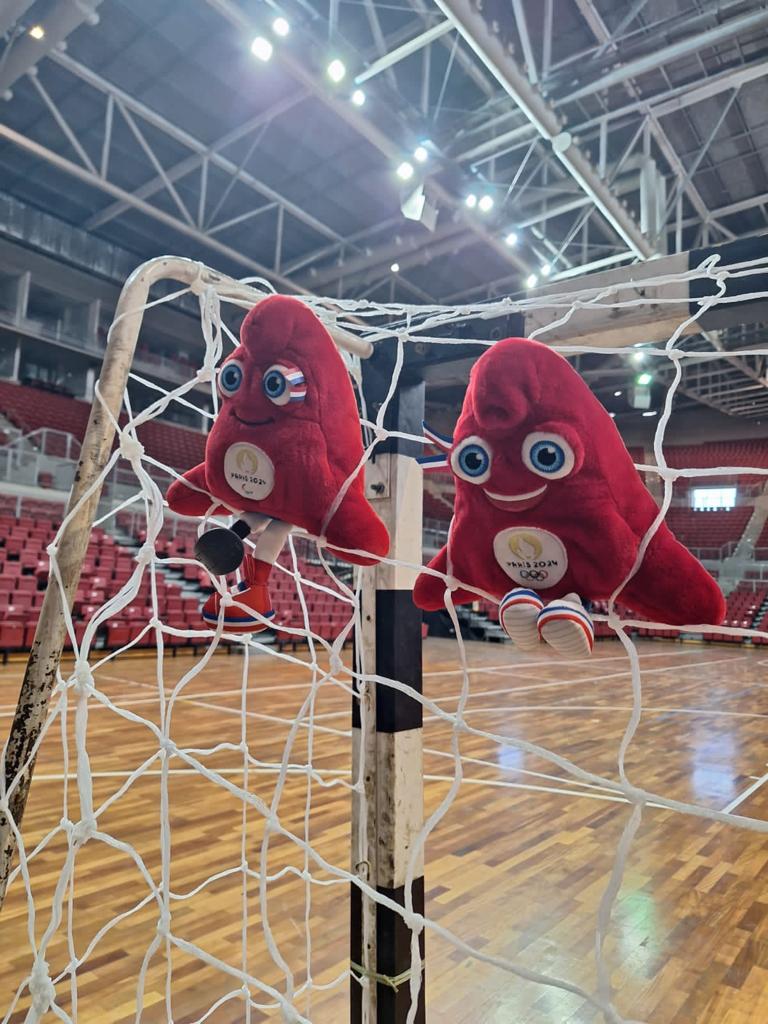 Mascotes das Olimpíadas 2024 são recebidos no CFO