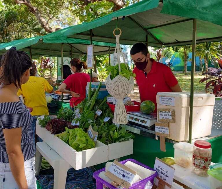 Sábado (29) tem mais Feira Agroecológica na área Adahil Barreto do Parque do Cocó