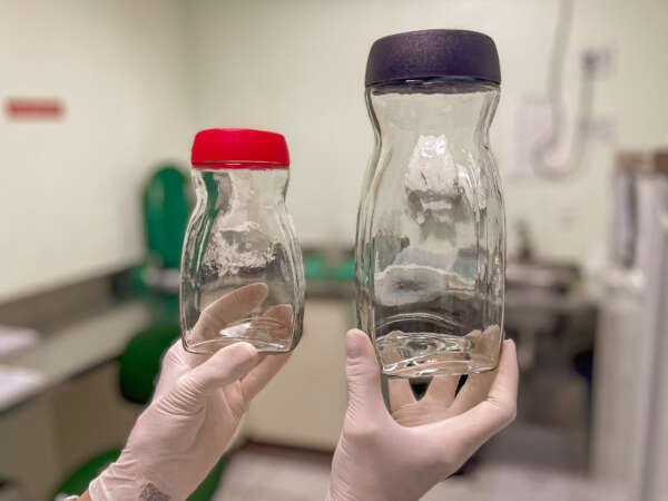 Banco de Leite Humano do Hias recebe doação de frascos de vidro