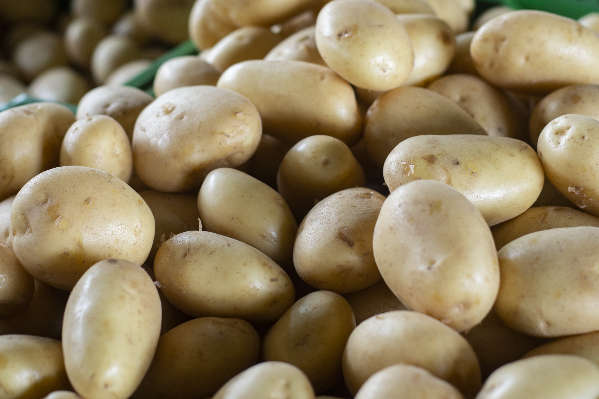 Preço da batata inglesa tem queda de 11,11% na Ceasa em Maracanaú