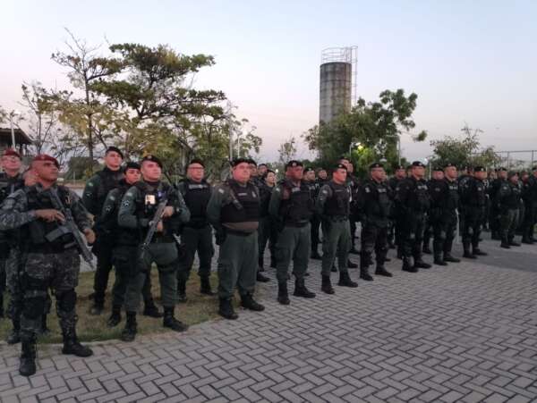 Operação Focus: mais de 17 quilos de drogas e aves silvestres são apreendidos neste fim de semana