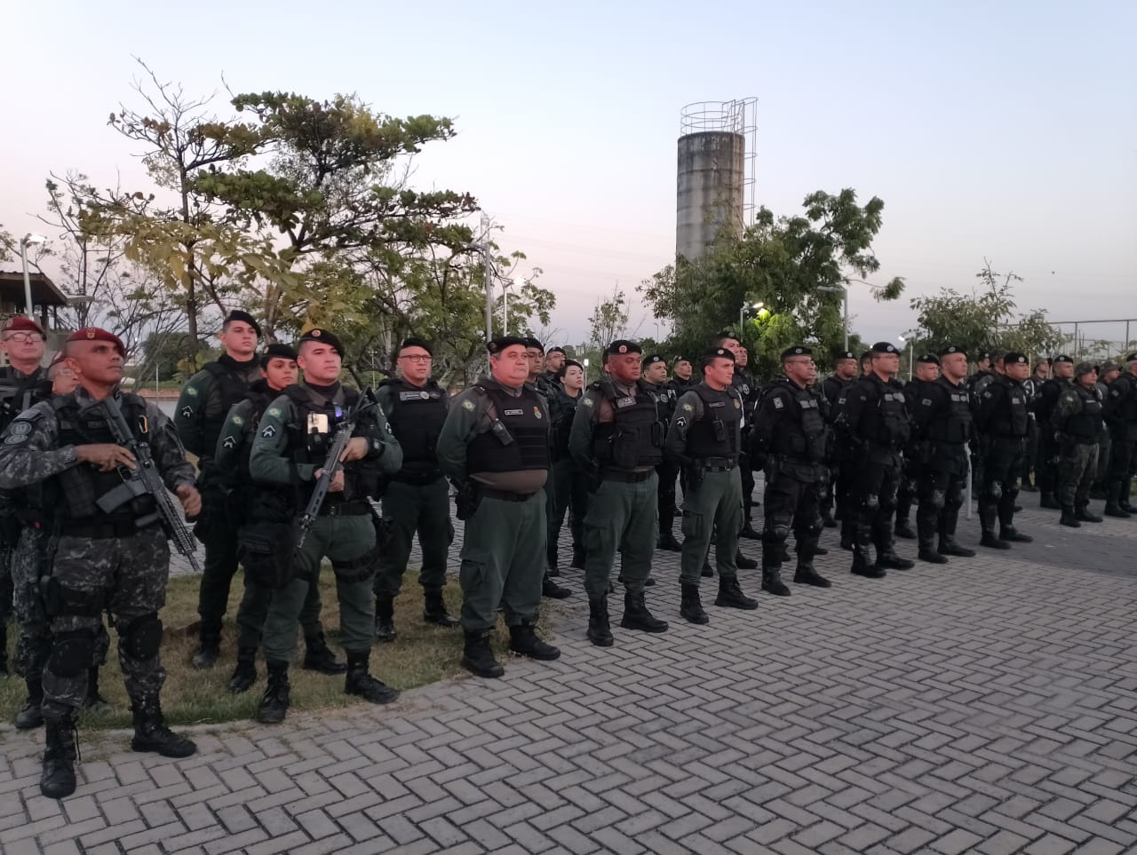 Operação Focus: mais de 17 quilos de drogas e aves silvestres são apreendidos neste fim de semana