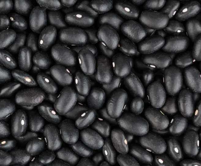 Rico em fibras, feijão preto está a R$ 6,50/kg na Ceasa em Maracanaú