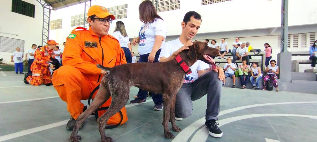 Celebrando a inclusão: SSPDS comemora o Dia Nacional de Luta da Pessoa com Deficiência com projetos sociais e unidades especializadas
