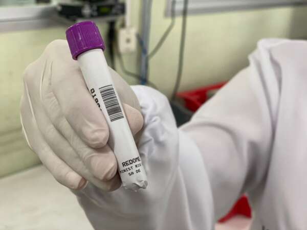 Hemoce celebra o Dia Mundial do Doador de Medula Óssea