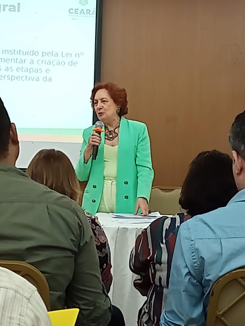 CEE retoma parceria com técnicos das Credes em prol da normatização da educação no Ceará