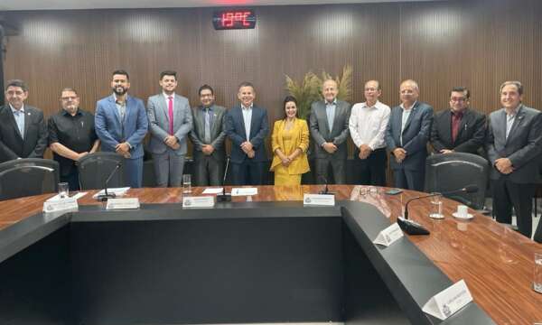 Simplificação e segurança de dados são discutidos em reunião do comitê gestor do convênio Redesim Conectada