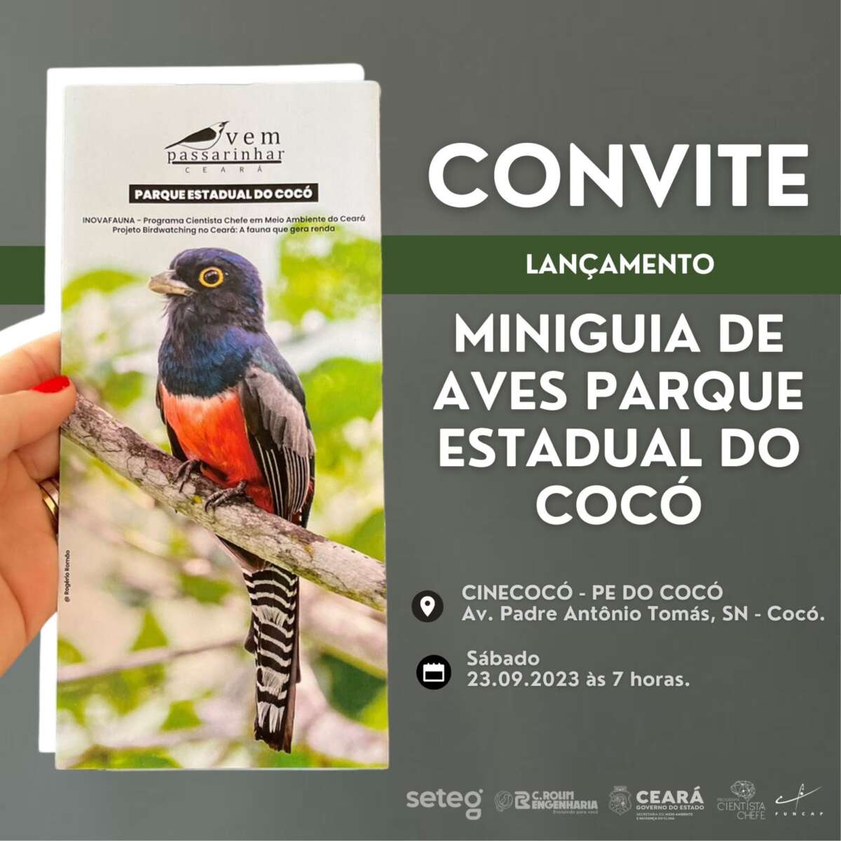 Sema promove Vem Passarinhar neste sábado no Parque Estadual do Cocó