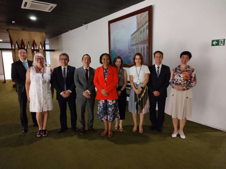 Agenda em Brasília: Secitece discute parceria para repatriação de fósseis brasileiros