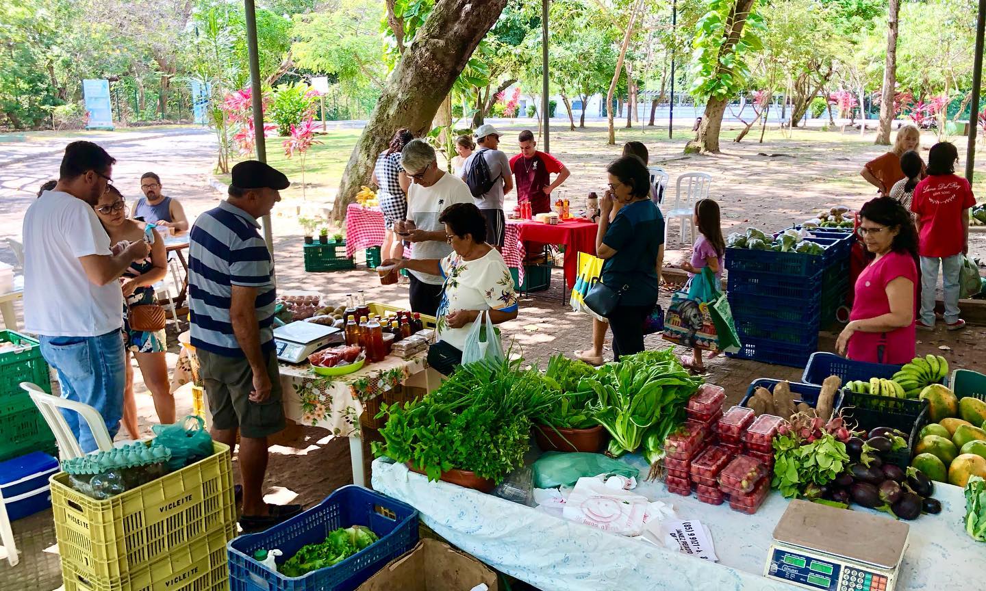 Feira Ecológica no Parque do Cocó tem mais de 40 variedades de produtos orgânicos