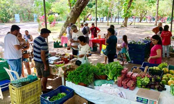 Feira Ecológica no Parque do Cocó tem mais de 40 variedades de produtos orgânicos