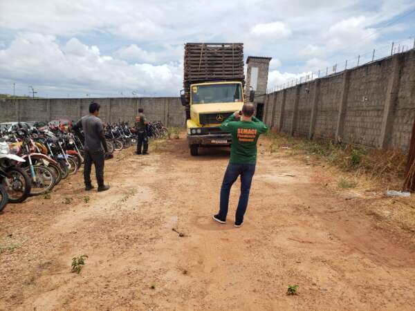 Semace apreende madeira nativa transportada irregularmente