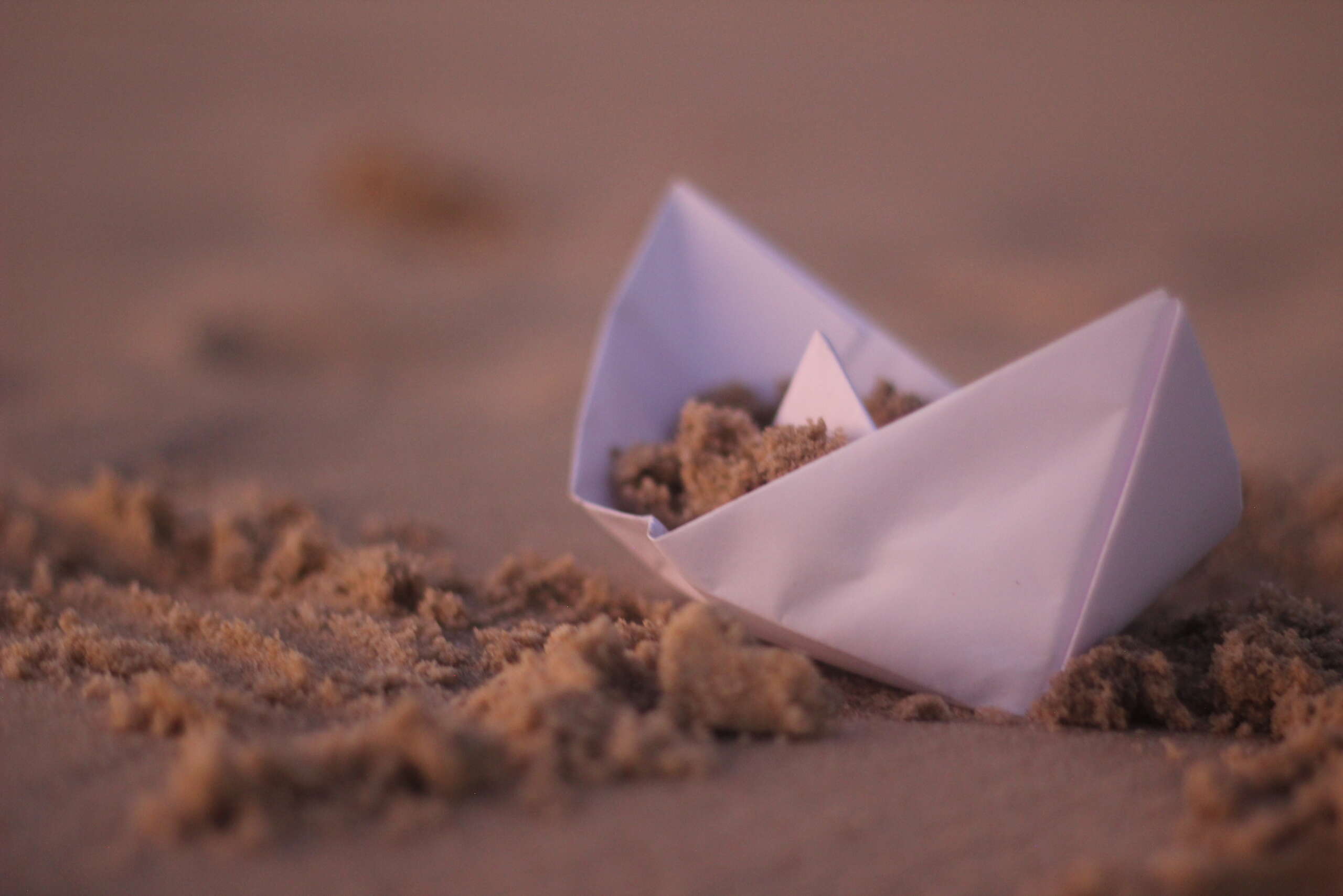Dragão do Mar divulga a programação até domingo (29)