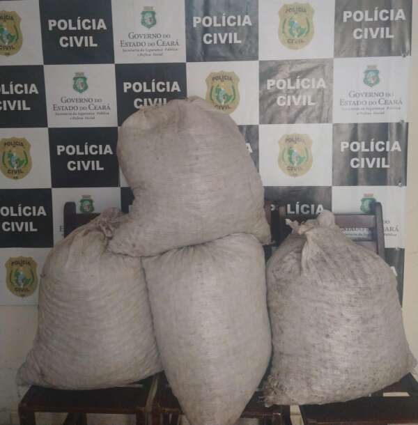 Homem com 13 passagens por furto é preso após subtrair carga de castanha em Cascavel