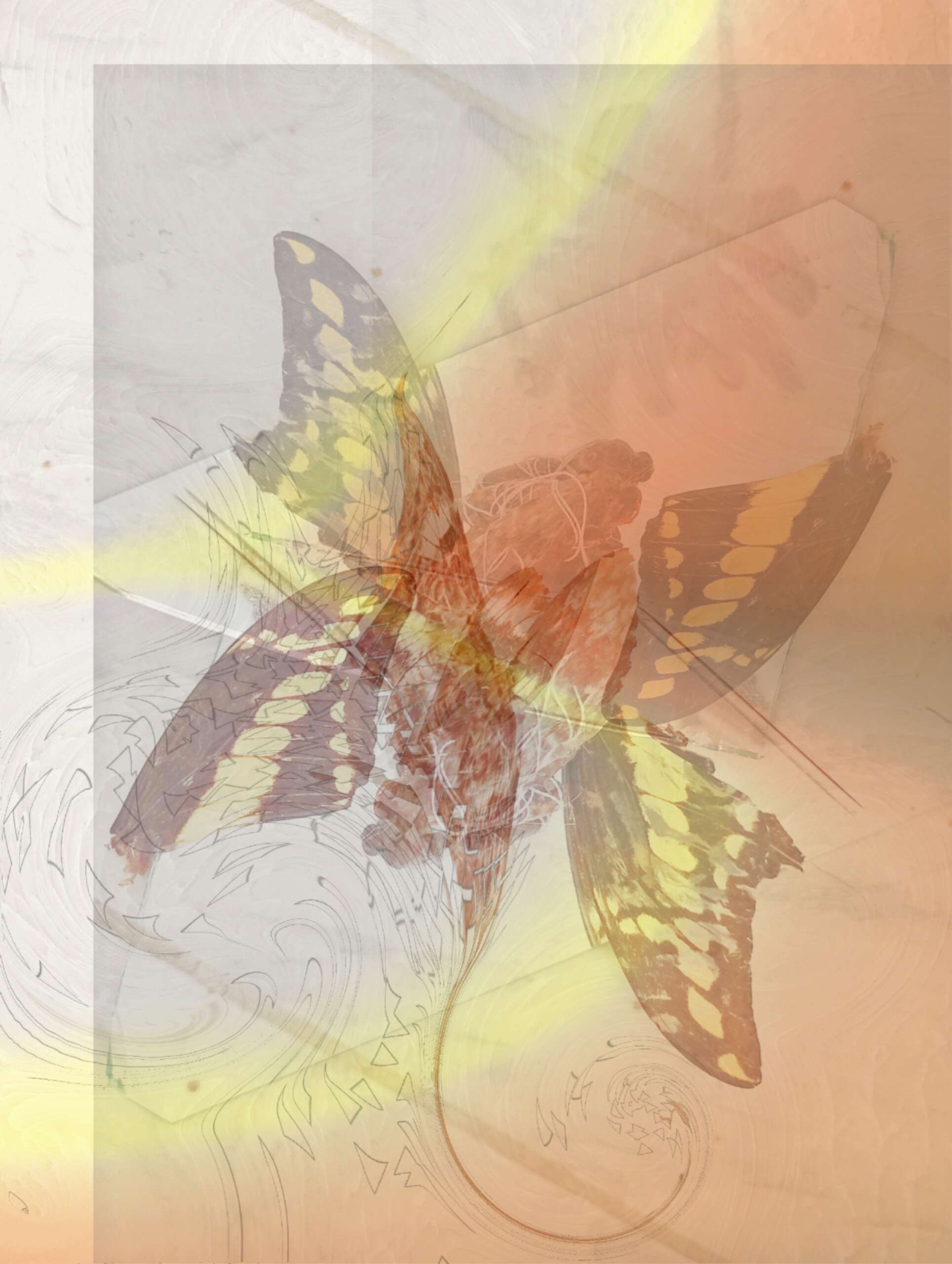 Confira os destaques dos equipamentos culturais da Secult Ceará