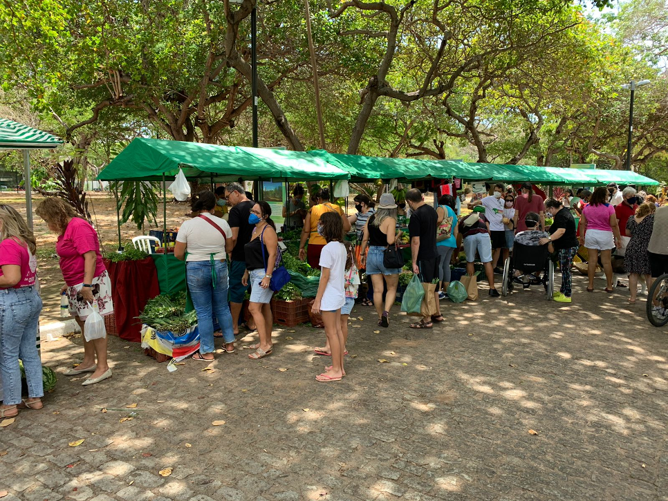 Parque do Cocó terá feira agroecológica neste sábado