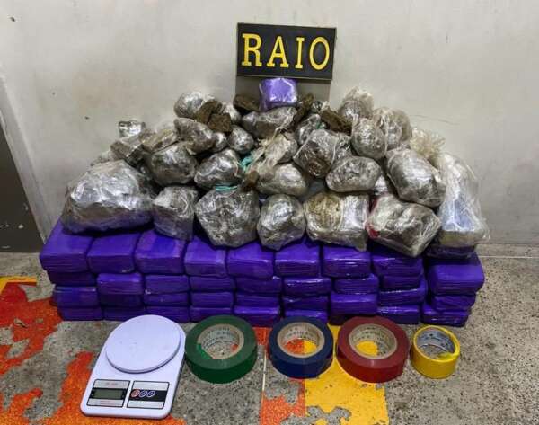 PMCE apreende 45 kg de maconha em terreno baldio no bairro Barroso