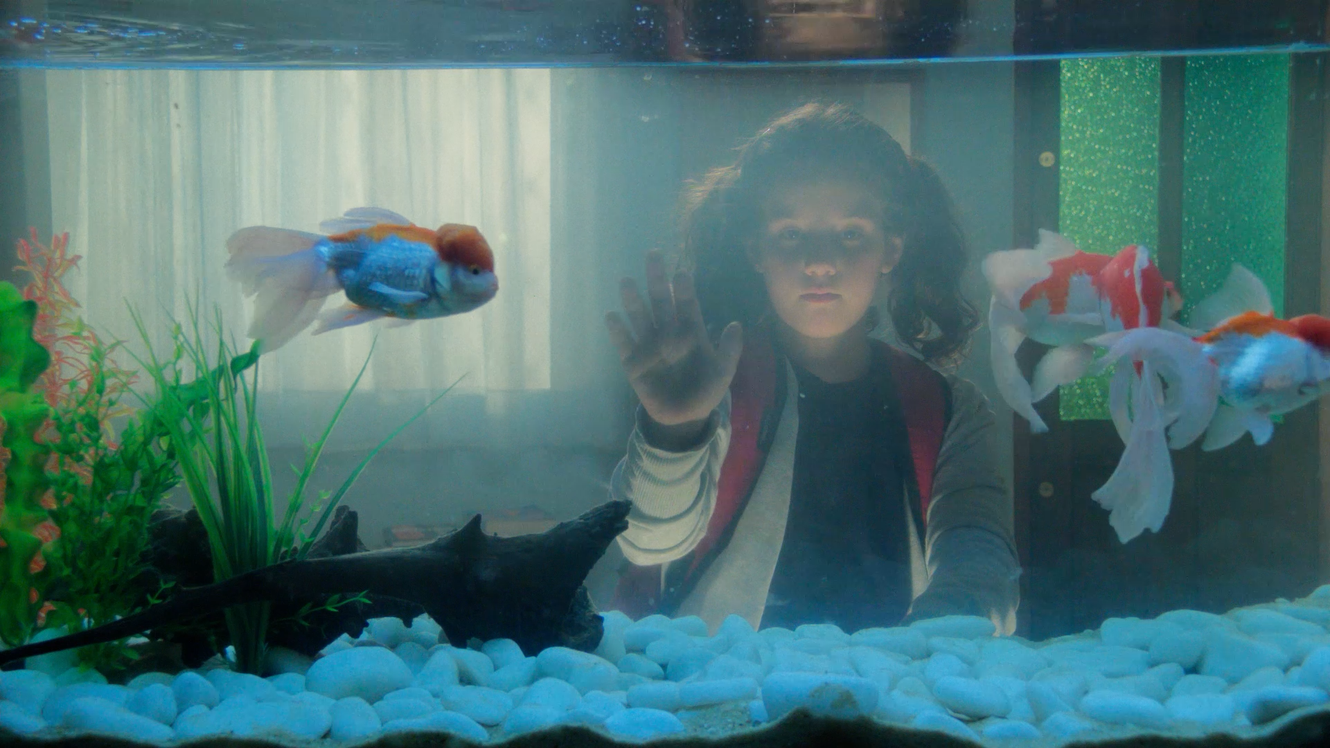 Cinema do Dragão traz duas estreias e exibições especiais e gratuitas a partir desta quinta-feira (5)