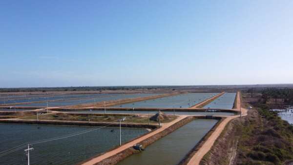 Semace preside audiência pública sobre expansão de fazenda de carcinicultura em Paraipaba