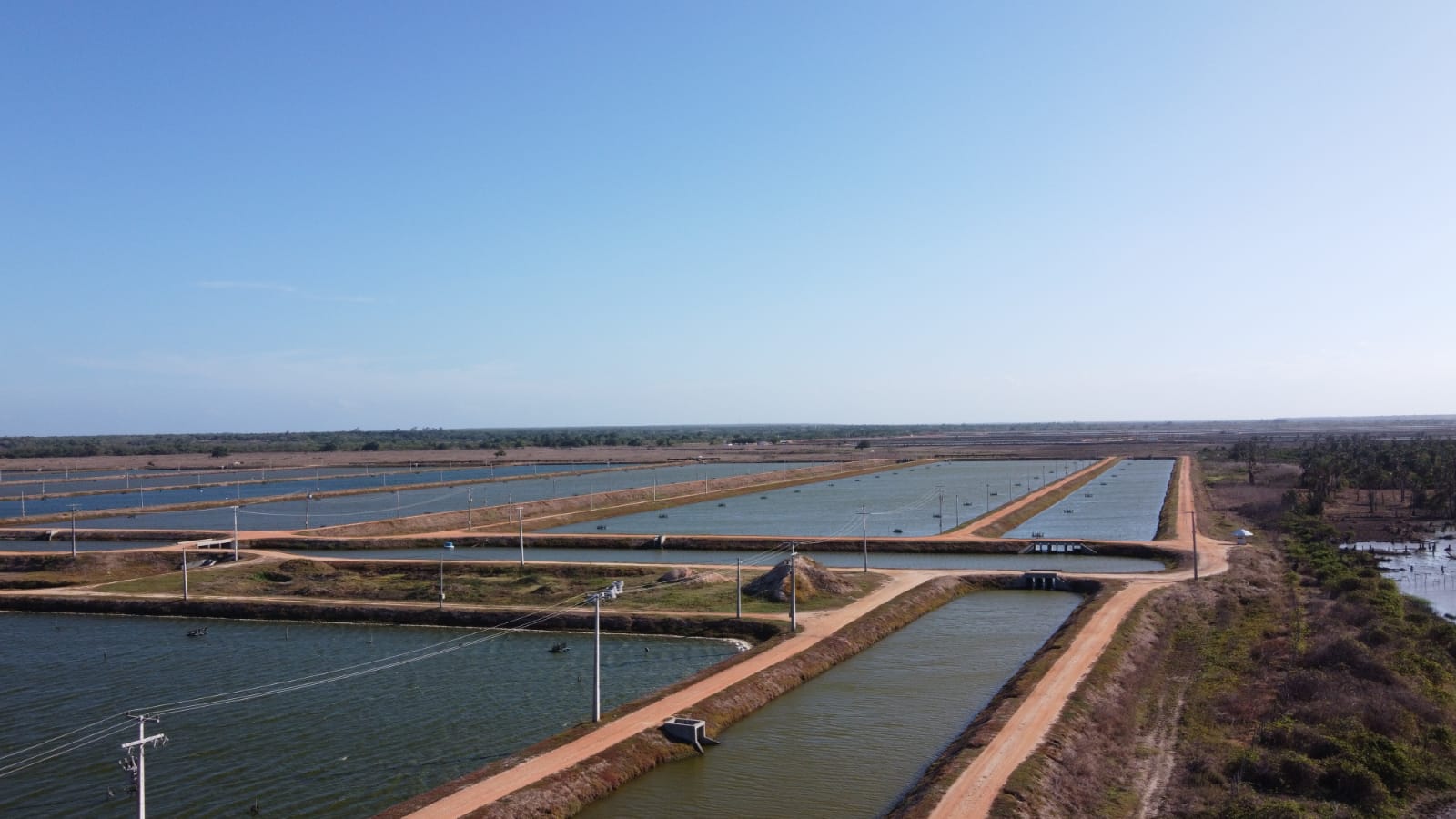 Semace preside audiência pública sobre expansão de fazenda de carcinicultura em Paraipaba