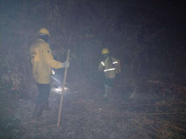 Brigadistas combatem incêndio florestal em Ipu