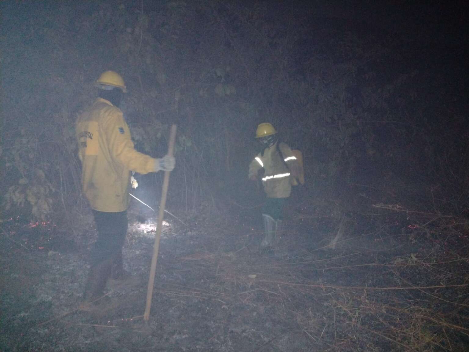 Brigadistas combatem incêndio florestal em Ipu