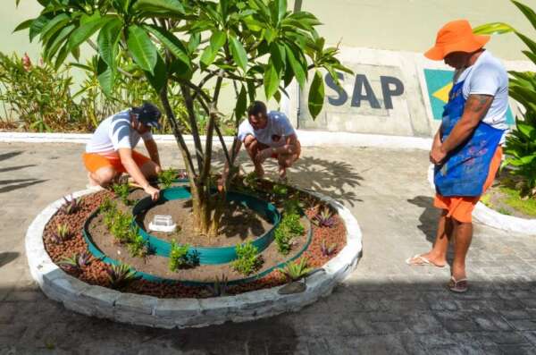 SAP e SPS promovem qualificação profissional no segmento de jardinagem para internos do sistema prisional cearense