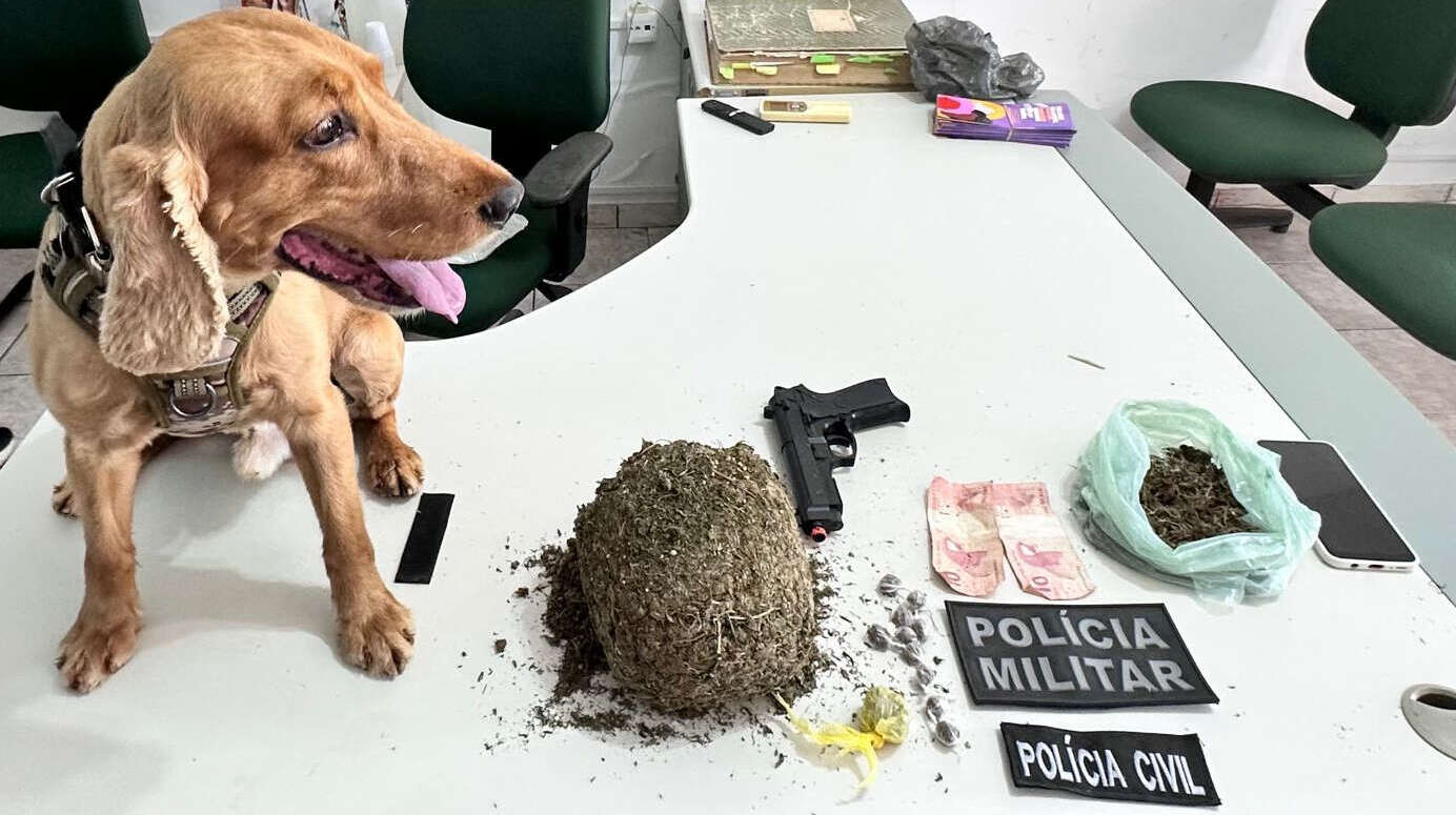 Suspeito de envolvimento com o tráfico de drogas é preso em flagrante durante ação conjunta na Região Sul