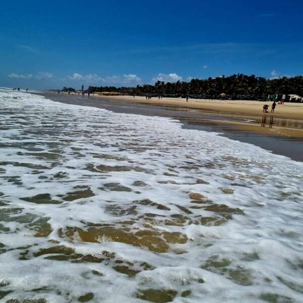 Litoral de Fortaleza está com 23 trechos próprios para banho neste fim de semana