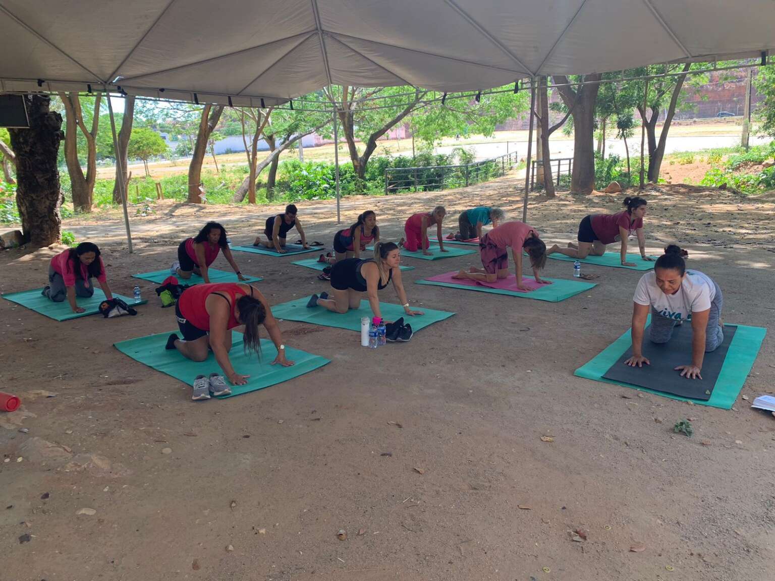 Domingo tem Viva o Parque em cinco Unidades de Conservação do Estado