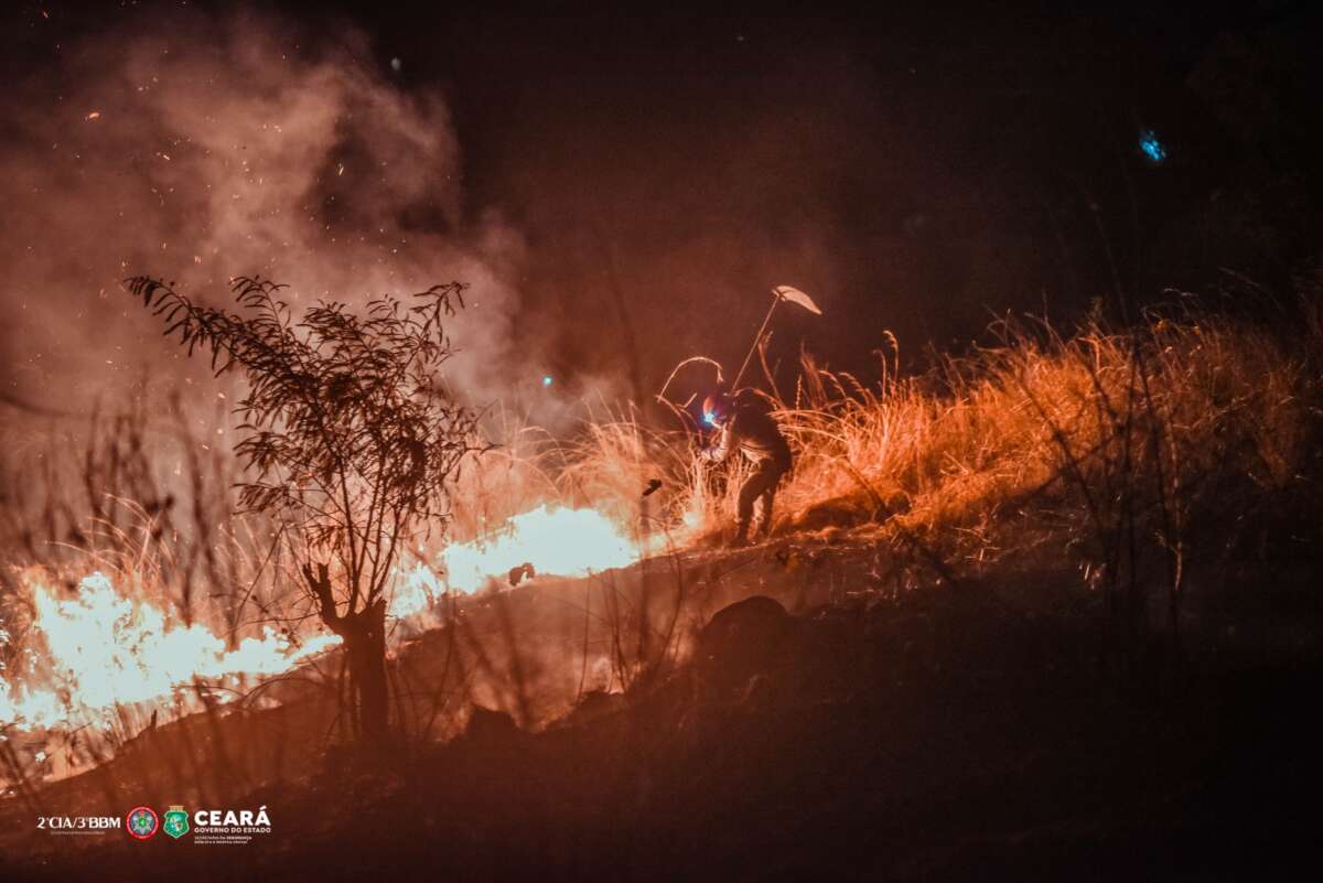 Incêndios em vegetações no Ceará têm aumento de 47% em 2023