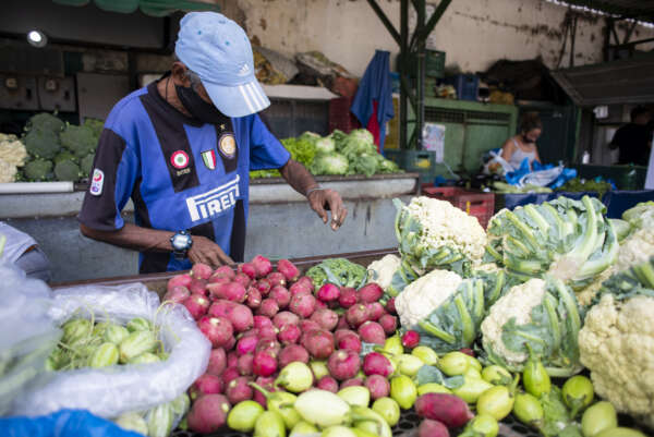 Horário de funcionamento da Ceasa-CE no Natal e Ano Novo