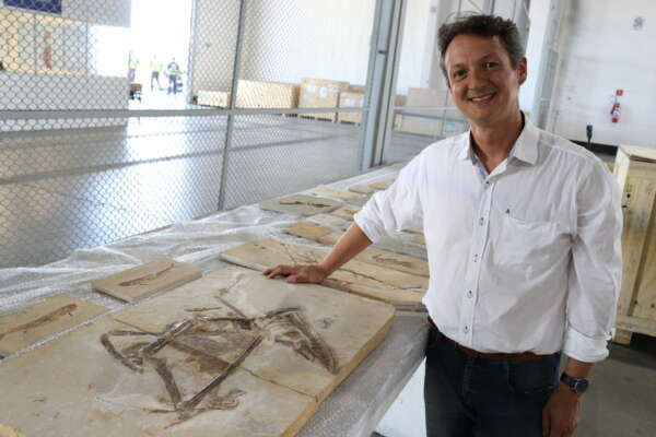 Com retorno de 998 fósseis, Governo do Ceará realiza maior repatriação cultural da história do Brasil